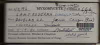 Image Associated With the Occurence